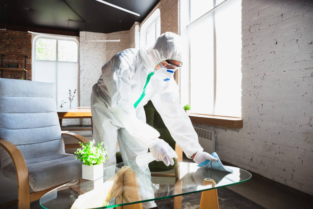 Why You Should Choose Our Mold Remediation Services in Garrett, IN